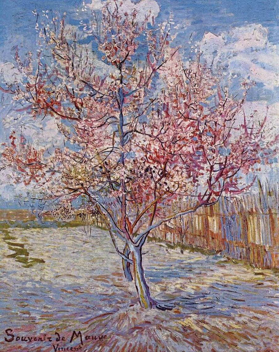 Vincent Van Gogh Galerie montblanc | Pecher En Fleur (Souvenir De Mauve) - Vincent Van Gogh