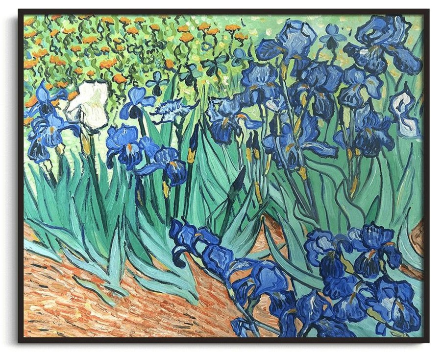 Vincent Van Gogh Galerie montblanc | Les Iris - Vincent Van Gogh