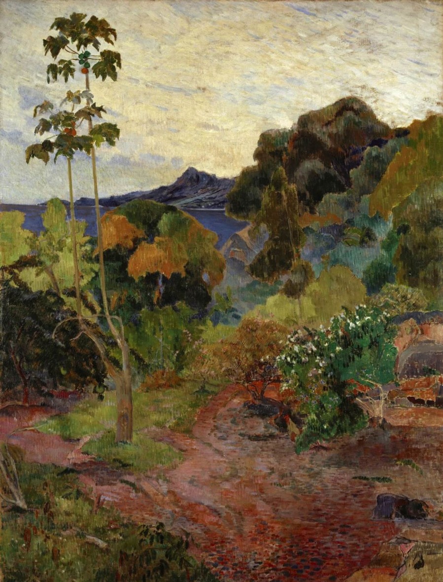 Paul Gauguin Galerie montblanc | Paysage De La Martinique - Paul Gauguin