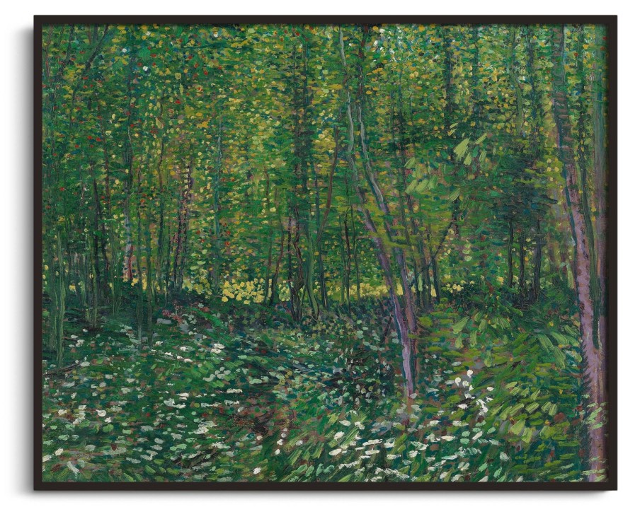 Vincent Van Gogh Galerie montblanc | Arbres Et Sous-Bois - Vincent Van Gogh