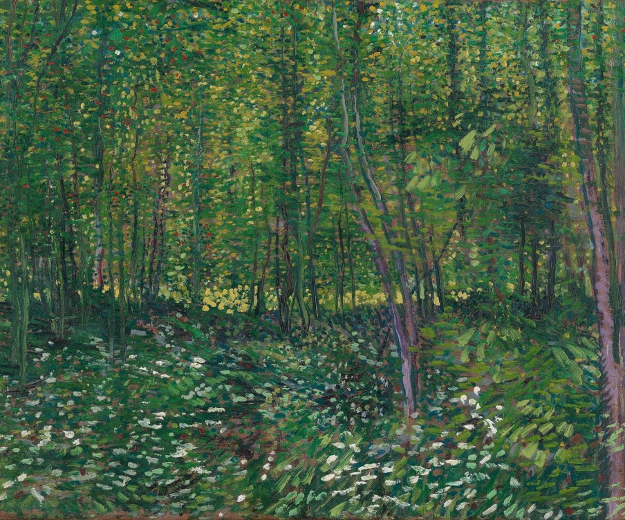 Vincent Van Gogh Galerie montblanc | Arbres Et Sous-Bois - Vincent Van Gogh