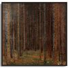 Gustav Klimt Galerie montblanc | Foret De Sapins - Gustav Klimt