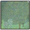 Gustav Klimt Galerie montblanc | Rosiers Sous Les Arbres - Gustav Klimt